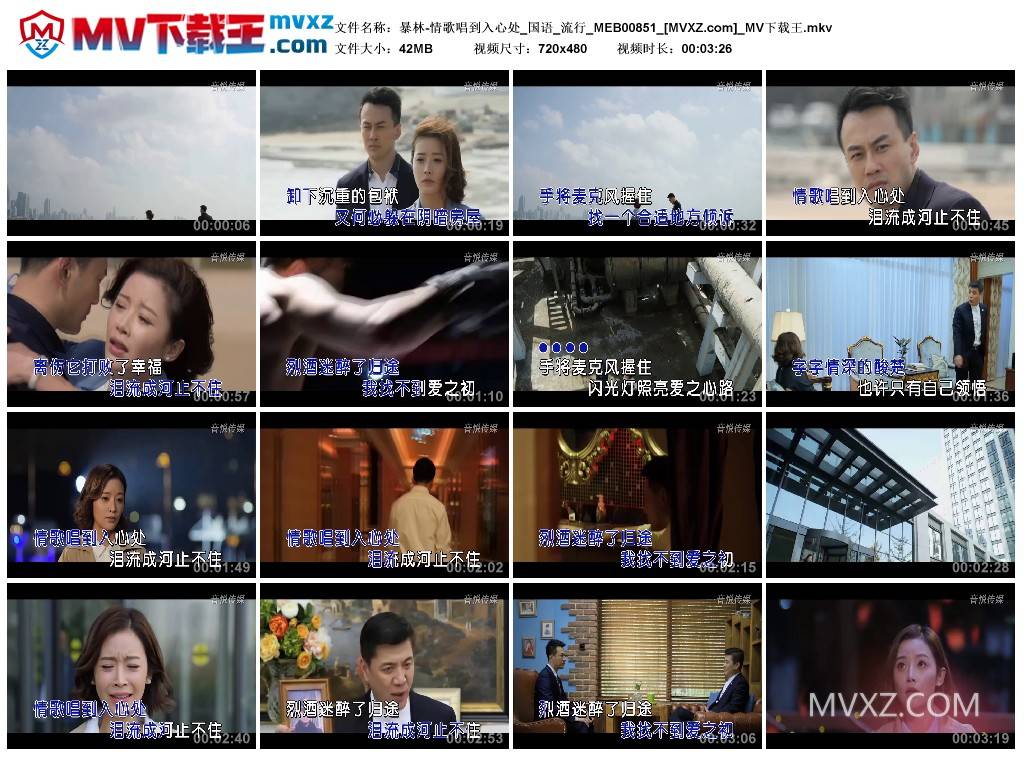 暴林-情歌唱到入心处_国语_流行_MEB00851